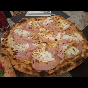 Bologna