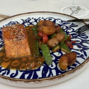 Salmon