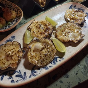 Conchas a la Parmesana