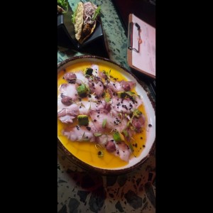 octopus