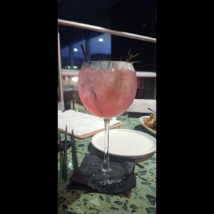 Gin con frutos rojos