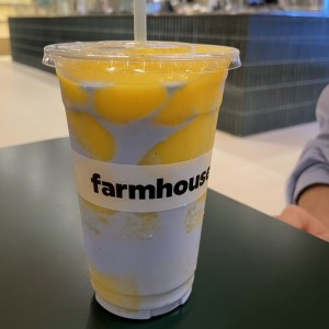 Tropicalia Smoothie