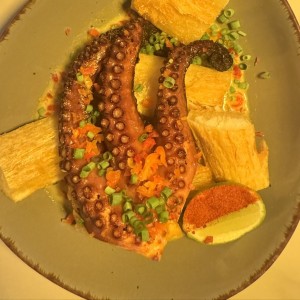 Pulpo