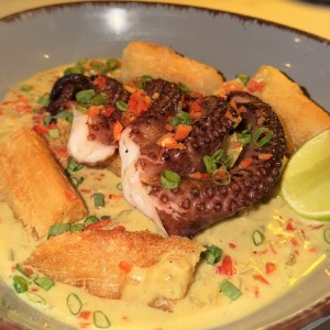 Acocado de pulpo