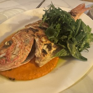 Pesca del dia