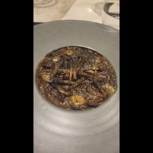 Risotto Porcini