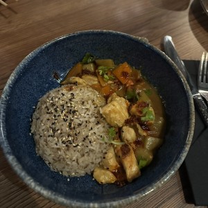 Curry japones 