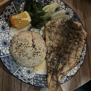 Pesca del Dia ( Corvina ) ?sublime?