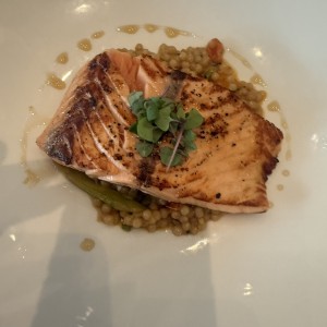 Salmon