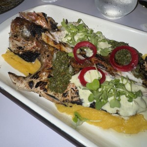 Pesca del día