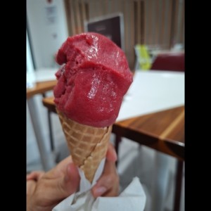 Sabores - RASPBERRY SORBET
