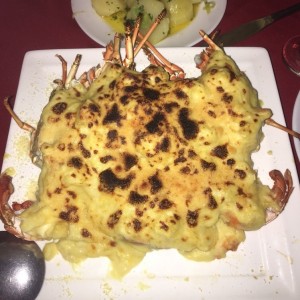 langosta gratinada