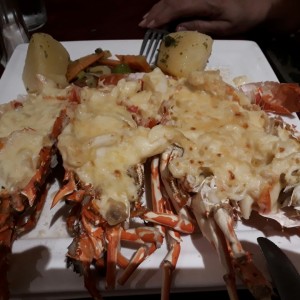 langosta gratinada 