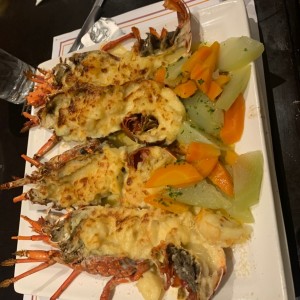 Platos Recomendados - Langostas Gratinadas