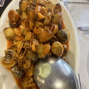 Almejas