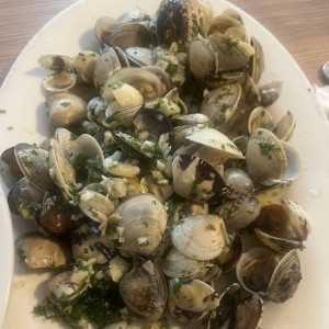 ALMEJAS EN CONCHA GENOVESA O NAPOLITANA CLAMS IN SHELL