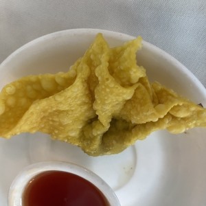 Entrada - Wantón Frito