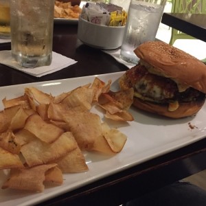 gallo tapao