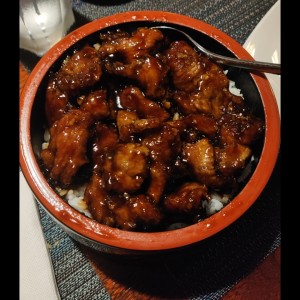 Donburi - Gyudon