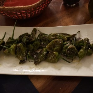 PIMIENTOS DE PADRON