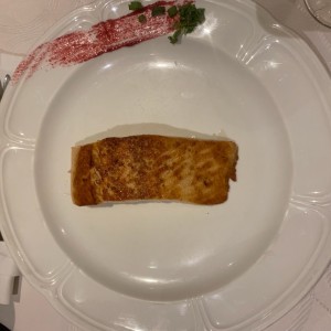 Salmon