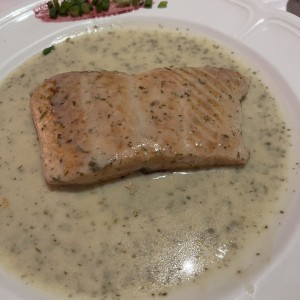 Salmon