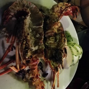 langostas