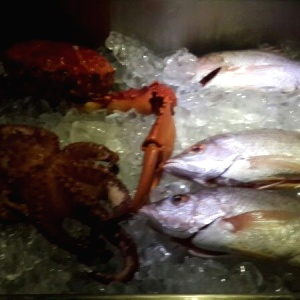 Centollo,Pulpo y Corvina.