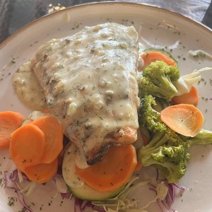 Salmon 