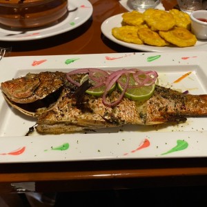 Mariscos - Pargo Entero Frito