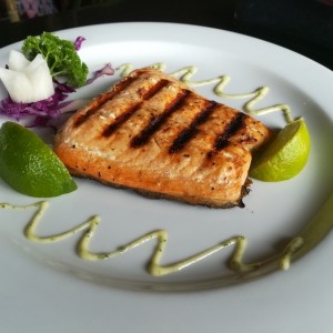 salmon