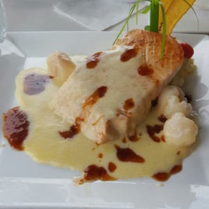Salmon