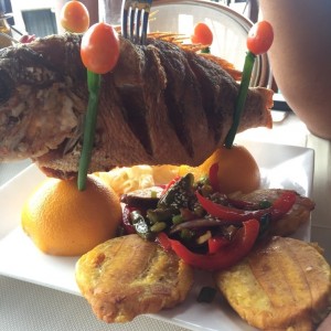 Pargo