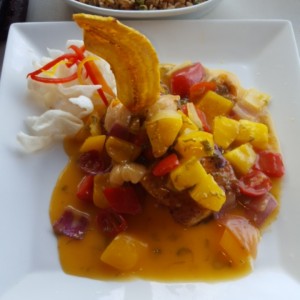 corvina tropical
