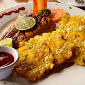 salmon