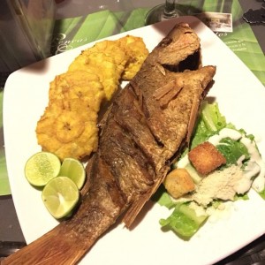 Pargo Frito con Patacones!