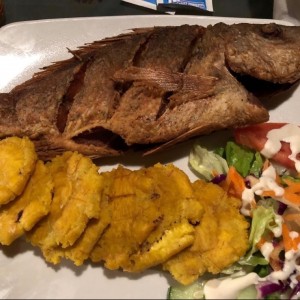Pargo frito con patacones.