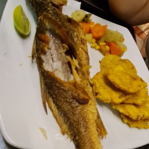corvina de 10 a 13 oz... precio 14.00