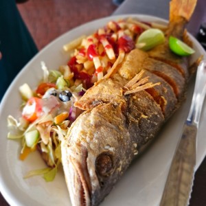 Corvina Entera Frita o en Salsa Criolla