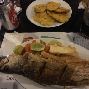 Corvina