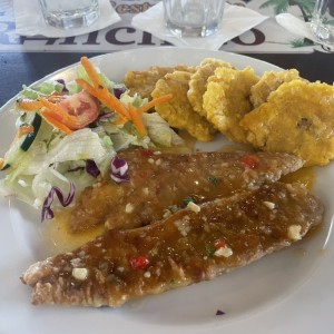 Filete de Corvina Al Ajillo con Patacones y Ensalada