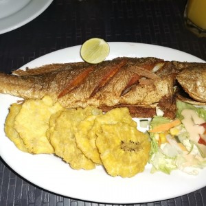 Corvina Entera Frita