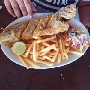 Corvina Entera Frita o en Salsa Criolla