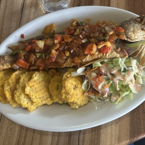 Corvina Entera Frita o en Salsa Criolla