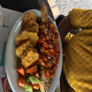 corvina