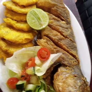 Corvina Entera Frita