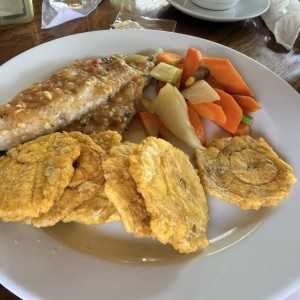 Filete Corvina/Corvina Fillet