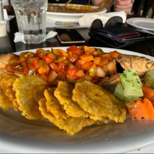 corvina con salsa criolla