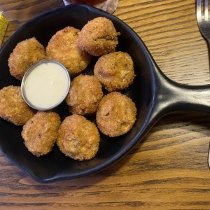 Hongos