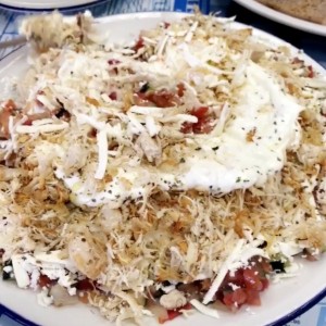 ladopstomo de Pollo